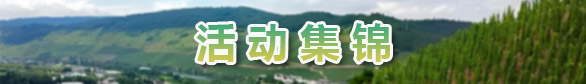 活动集锦